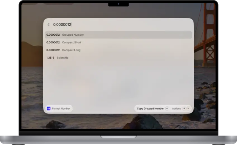 Number Formatter screenshot 3