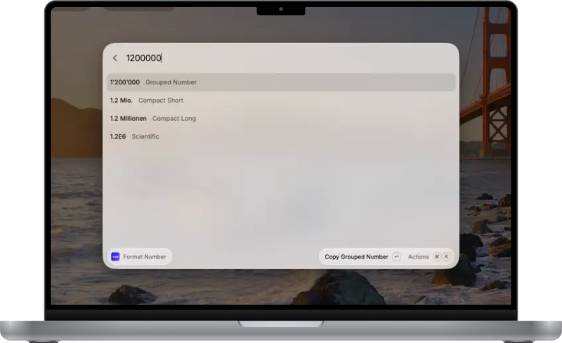 Number Formatter screenshot 2